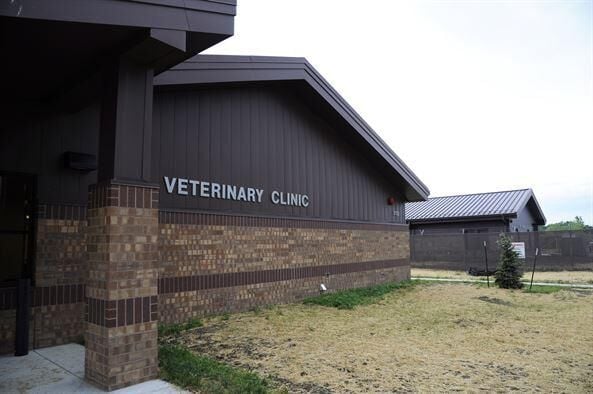 Vet Building